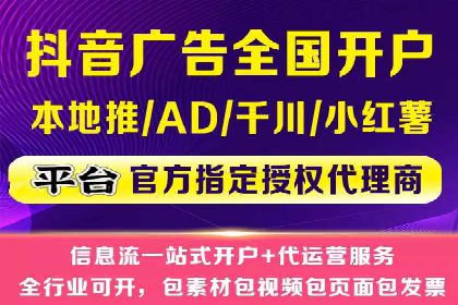 顶级SEM服务公司案例解析